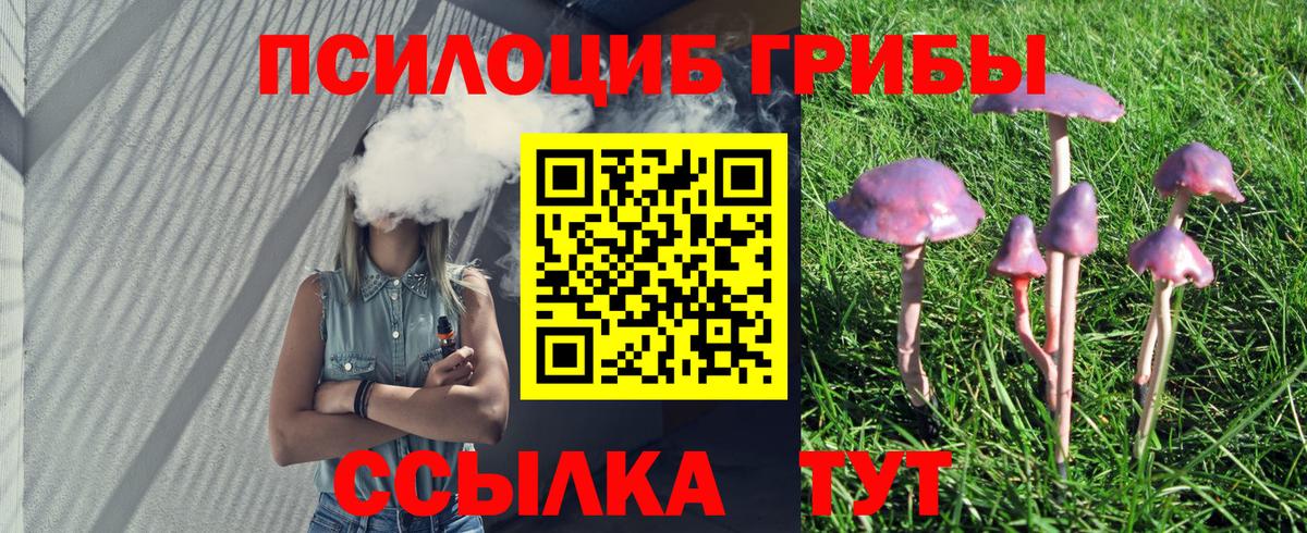 Псилоцибиновые грибы MAGIC MUSHROOMS Кемерово