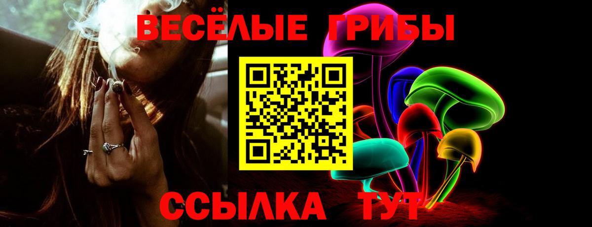 Кемерово  Галлюциногенные грибы MAGIC MUSHROOMS  Вход с VPN 